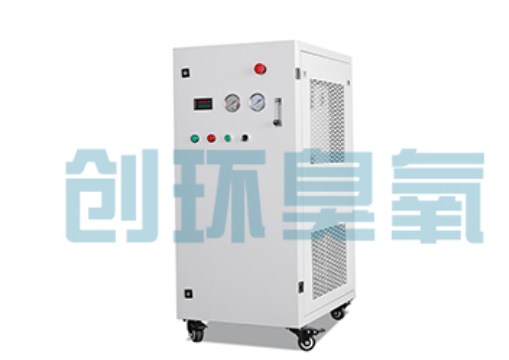 万州石斑鱼养殖水质调控完整指南：臭氧发生器配置与操作步骤