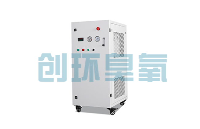 万州比传统换水更高效？臭氧发生器在石斑鱼养殖中的水质净化原理解析