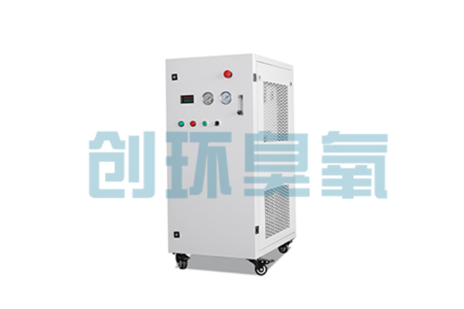 万州比传统换水更高效?臭氧发生器在石斑鱼养殖中的水质净化原理解析